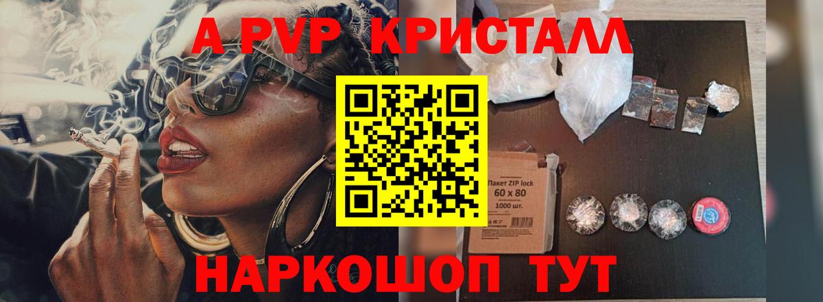 А ПВП крисы CK Асино