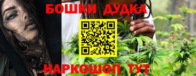 шишки Сланцы