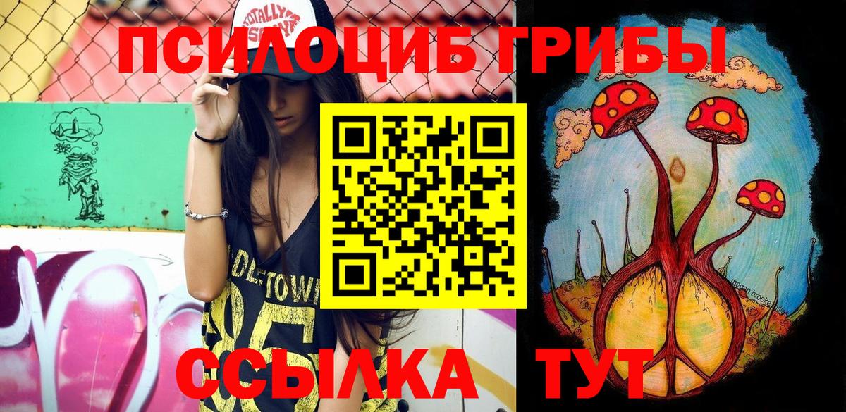 Псилоцибиновые грибы прущие грибы  Вход с VPN  Асино 