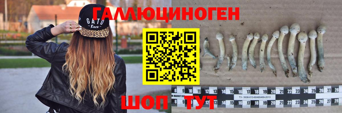 Галлюциногенные грибы мухоморы Асино