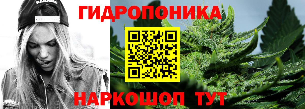 Канабис ГИДРОПОН  МАРИХУАНА LSD WEED  Вход с VPN  Асино 