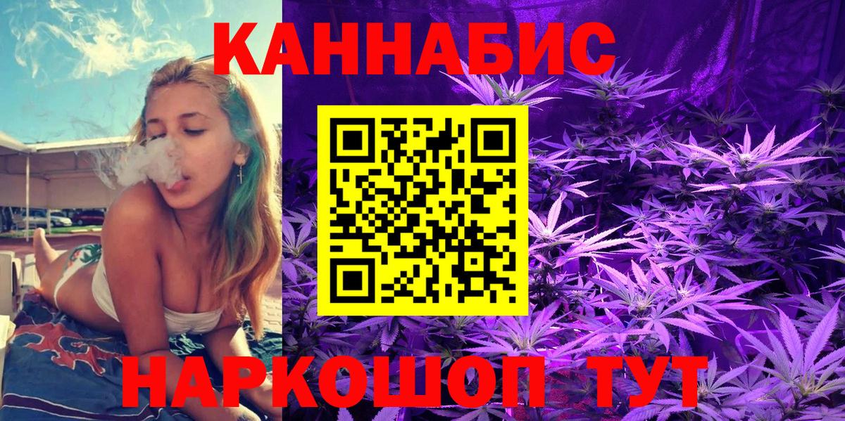 Конопля планчик Асино